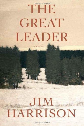 The Great Leader book cover