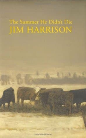 The Summer He Didn't Die book cover