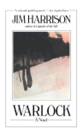 Warlock book cover