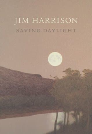 Saving Daylight book cover