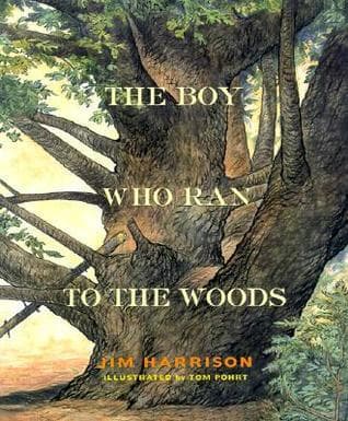 The Boy Who Ran to the Woods book cover