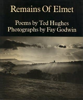 The Remains of Elmet book cover