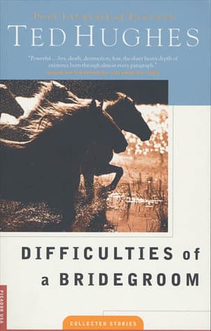 Difficulties of a Bridegroom: Stories book cover