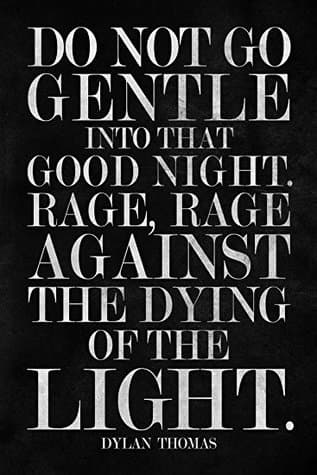 Do Not Go Gentle Into That Good Night book cover