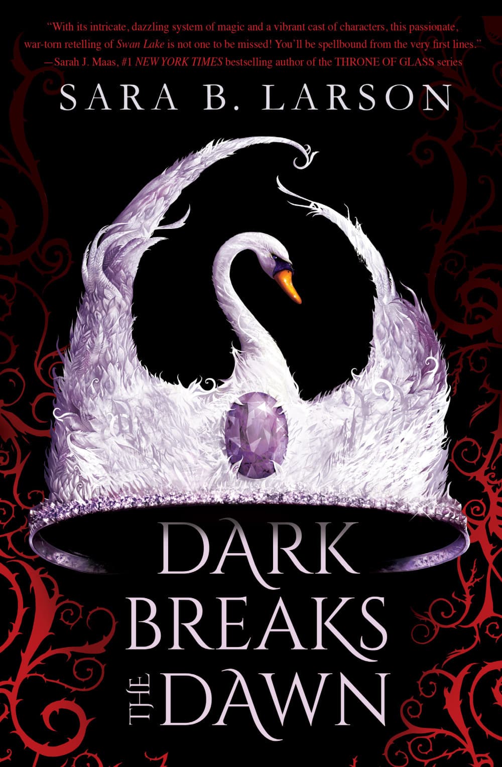 Dark Breaks the Dawn book cover