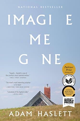 Imagine Me Gone book cover