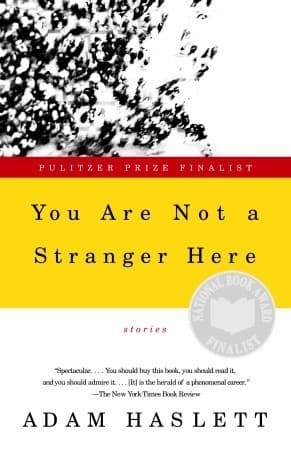 You Are Not a Stranger Here book cover
