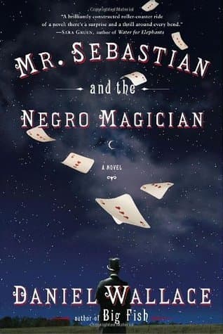 Mr. Sebastian and the Negro Magician book cover