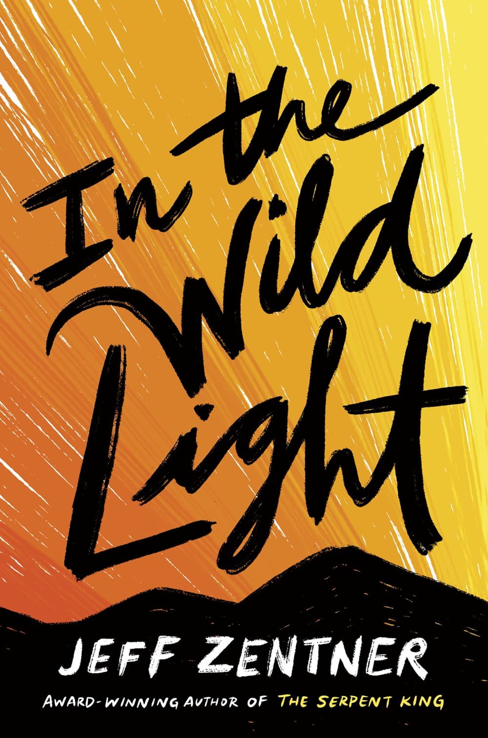 In the Wild Light book cover