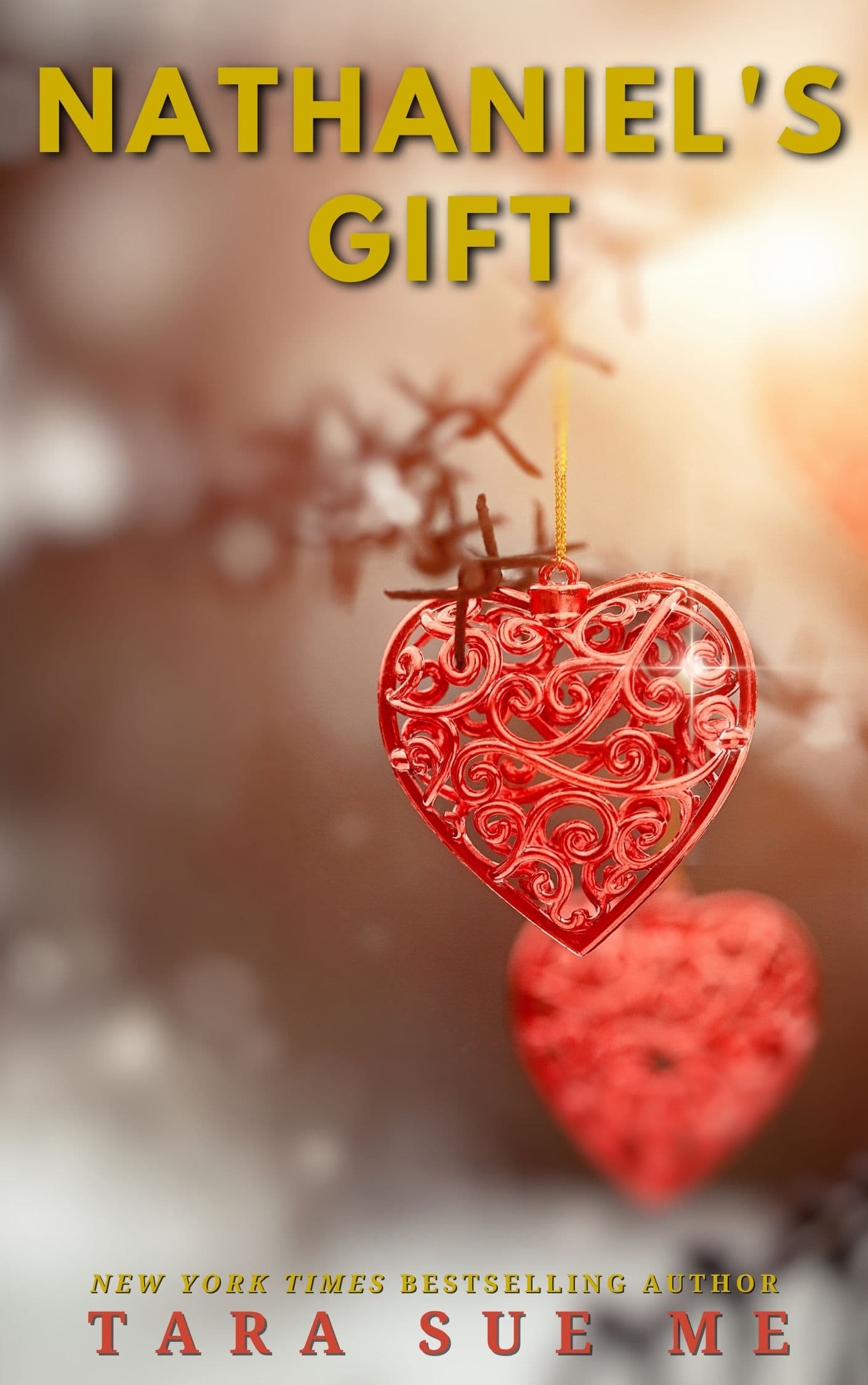Nathaniel's Gift book cover