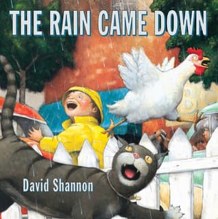 The Rain Came Down book cover