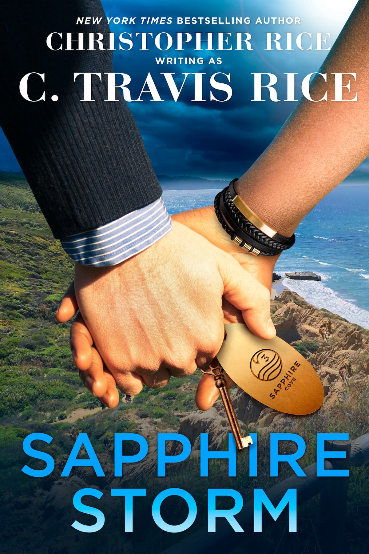 Sapphire Storm book cover