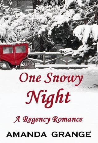 One Snowy Night book cover