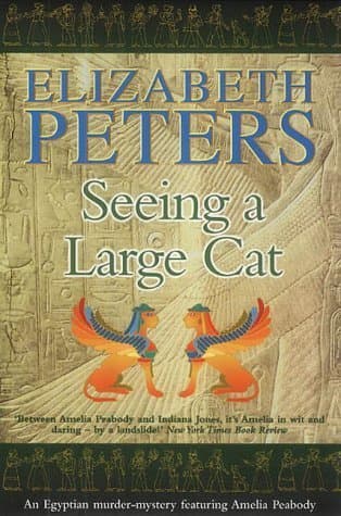 Seeing a Large Cat book cover