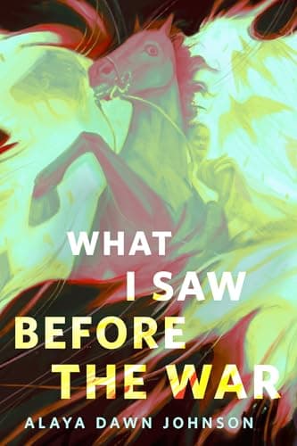 What I Saw Before the War book cover