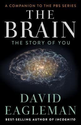 The Brain: The Story of You book cover