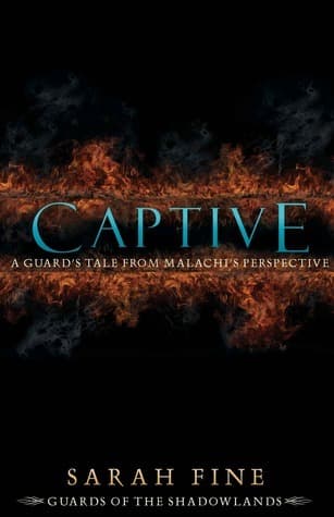 Captive: A Guard's Tale from Malachi's Perspective book cover