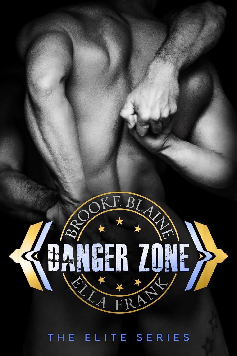 Danger Zone book cover