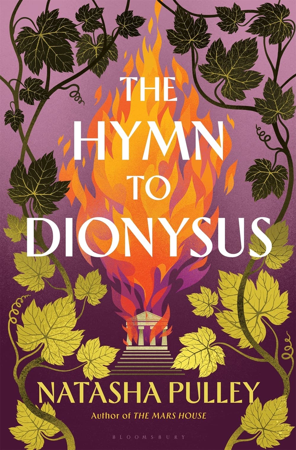The Hymn to Dionysus book cover