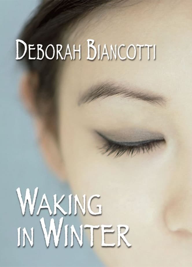 Waking in Winter book cover