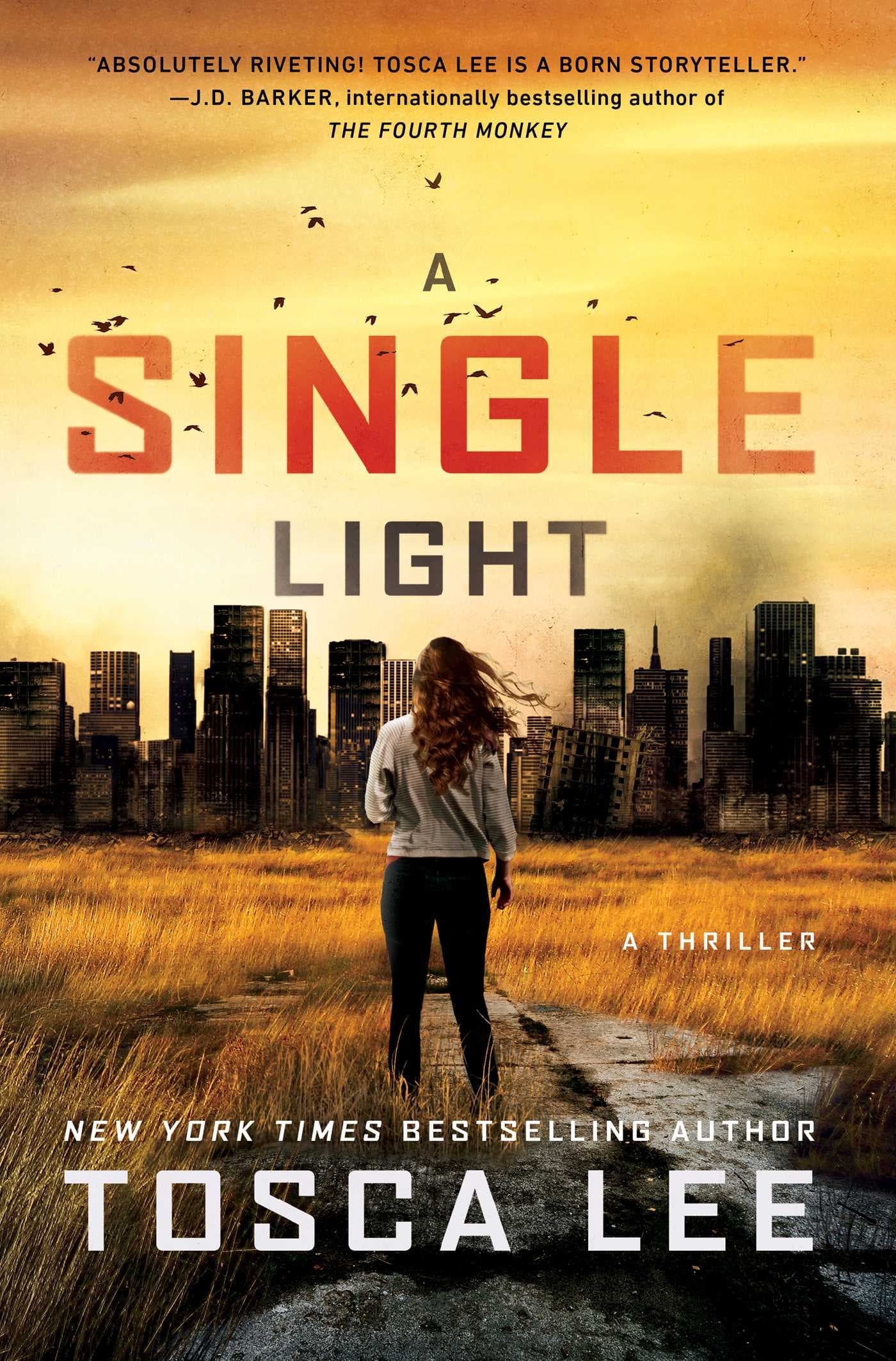 A Single Light book cover