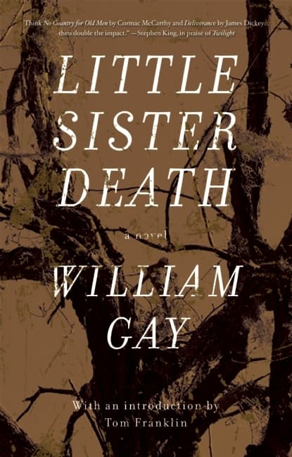 Little Sister Death book cover