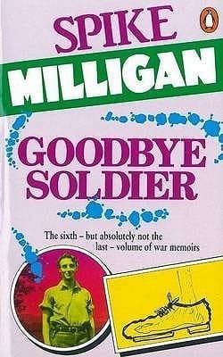 Goodbye Soldier book cover