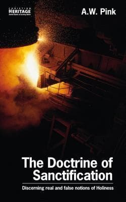 The Doctrine of Sanctification: Discerning real and false notions of Holiness book cover