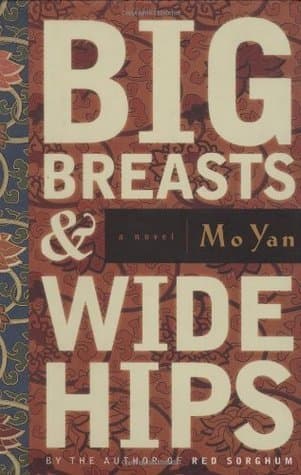 Big Breasts & Wide Hips book cover