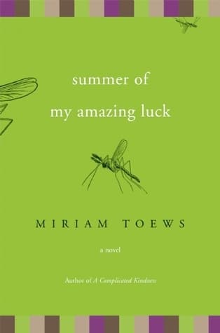 Summer of My Amazing Luck book cover