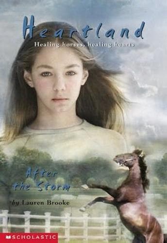 After the Storm book cover