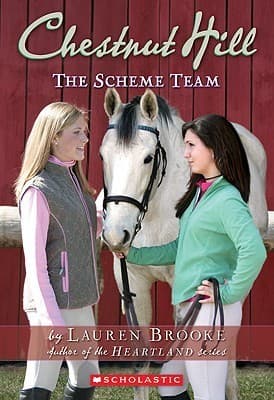 The Scheme Team book cover