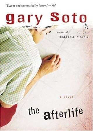The Afterlife book cover