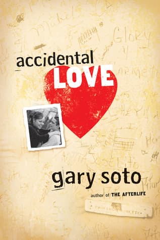 Accidental Love book cover