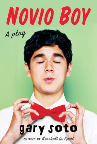 Novio Boy: A Play book cover