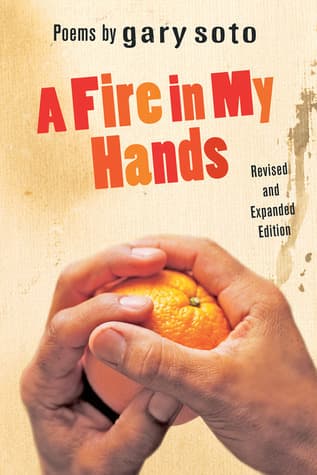 A Fire in My Hands book cover