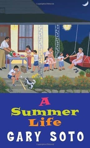 A Summer Life book cover