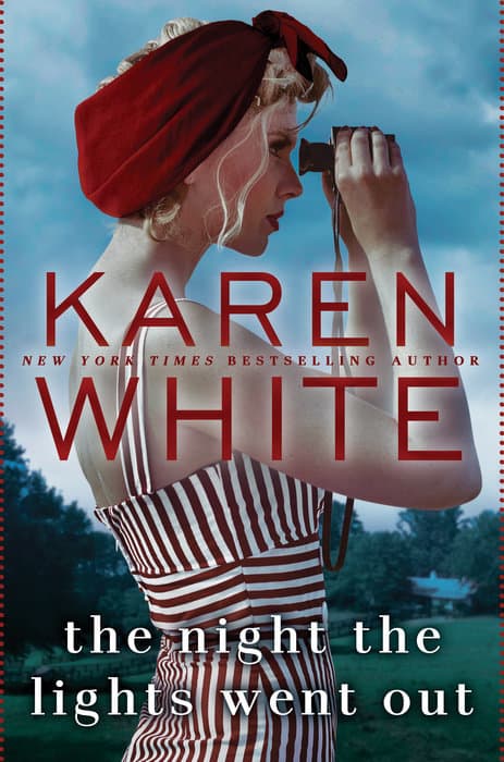 The Night the Lights Went Out book cover