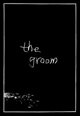 The Groom book cover