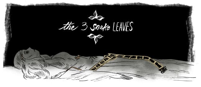 The Three Snake Leaves book cover