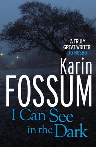 I Can See in the Dark book cover