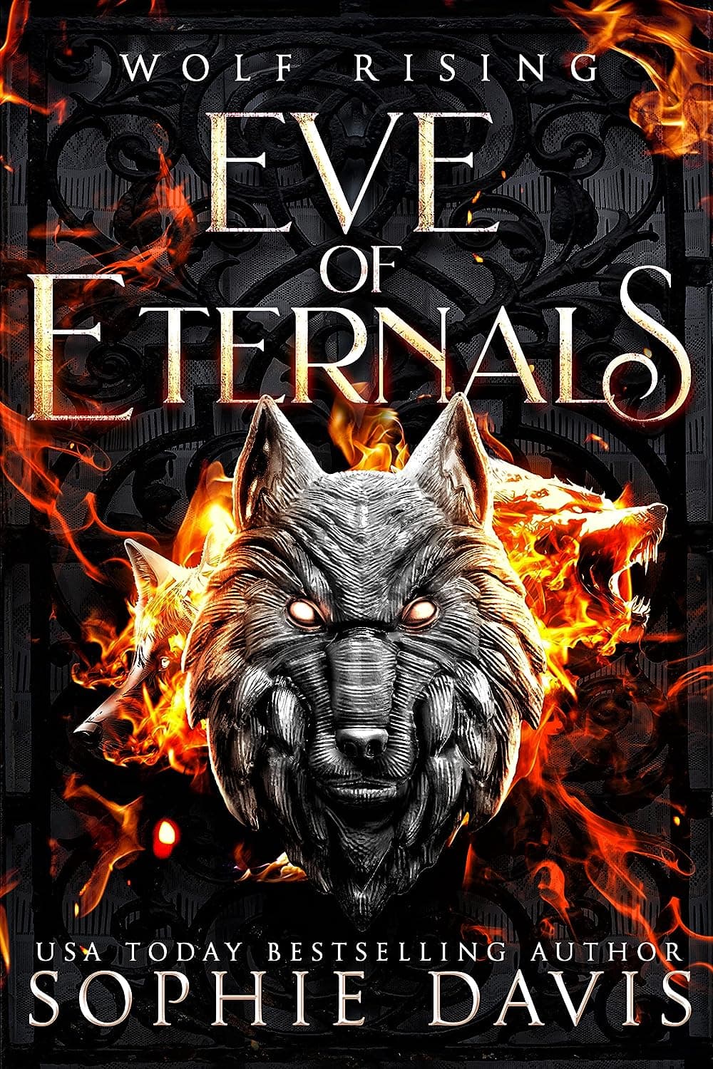 Wolf Rising book cover