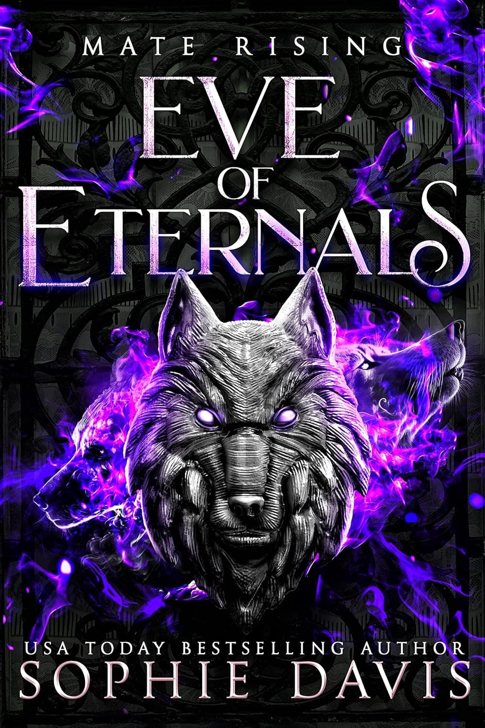 Mate Rising book cover
