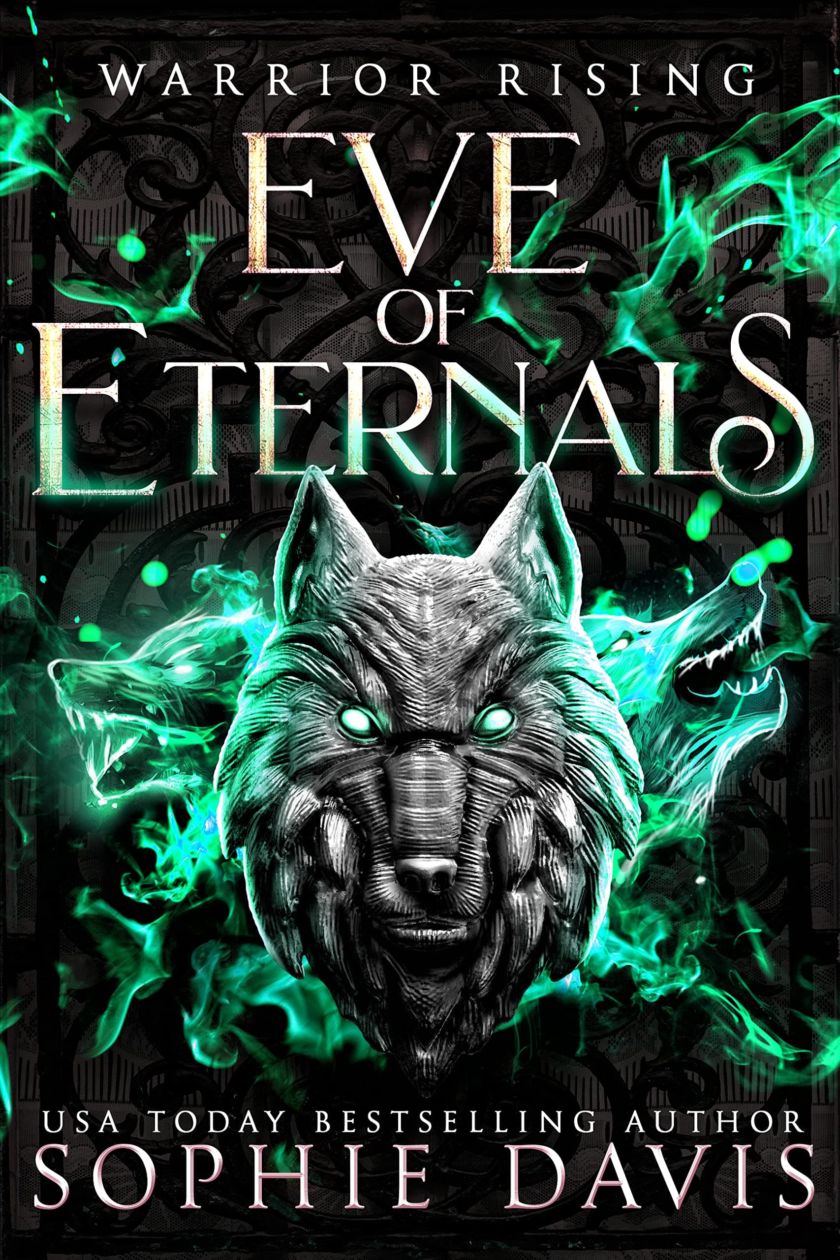 Warrior Rising book cover