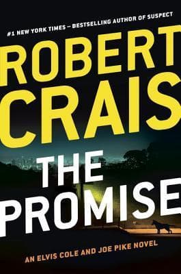 The Promise book cover