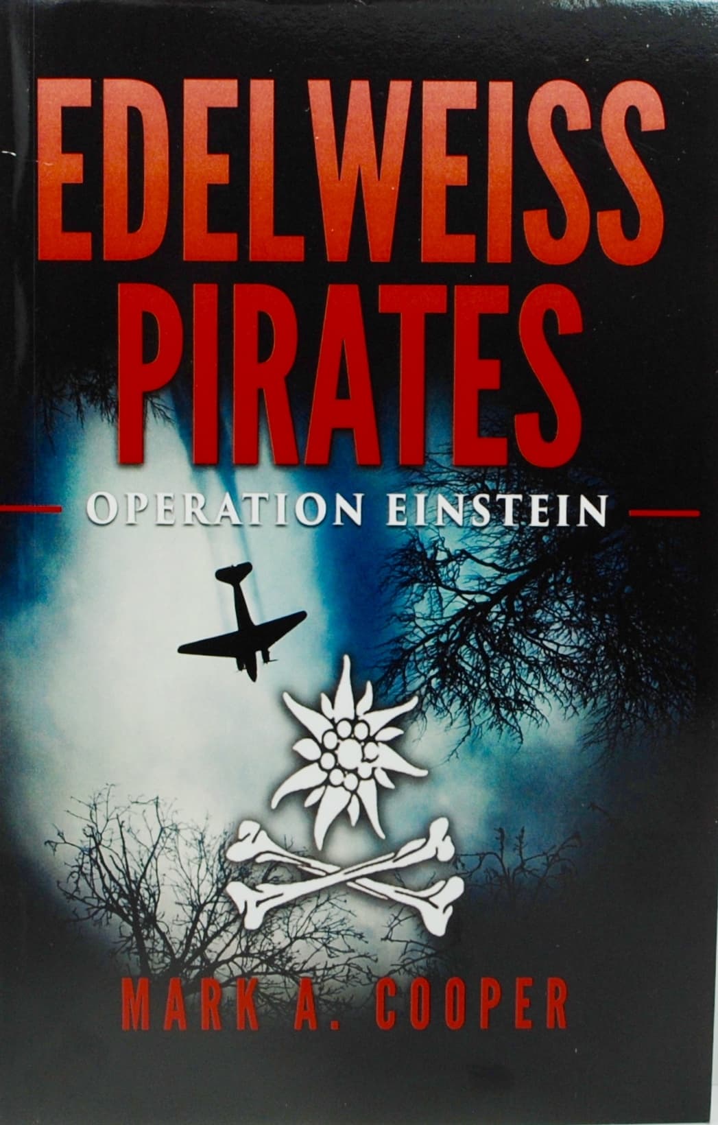 Operation Einstein book cover