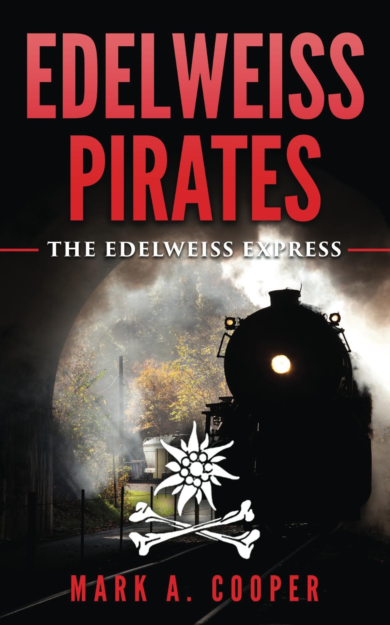 The Edelweiss Express book cover