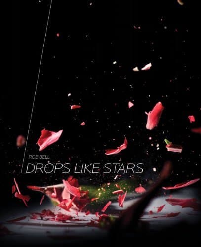 Drops Like Stars: A Few Thoughts on Creativity and Suffering book cover