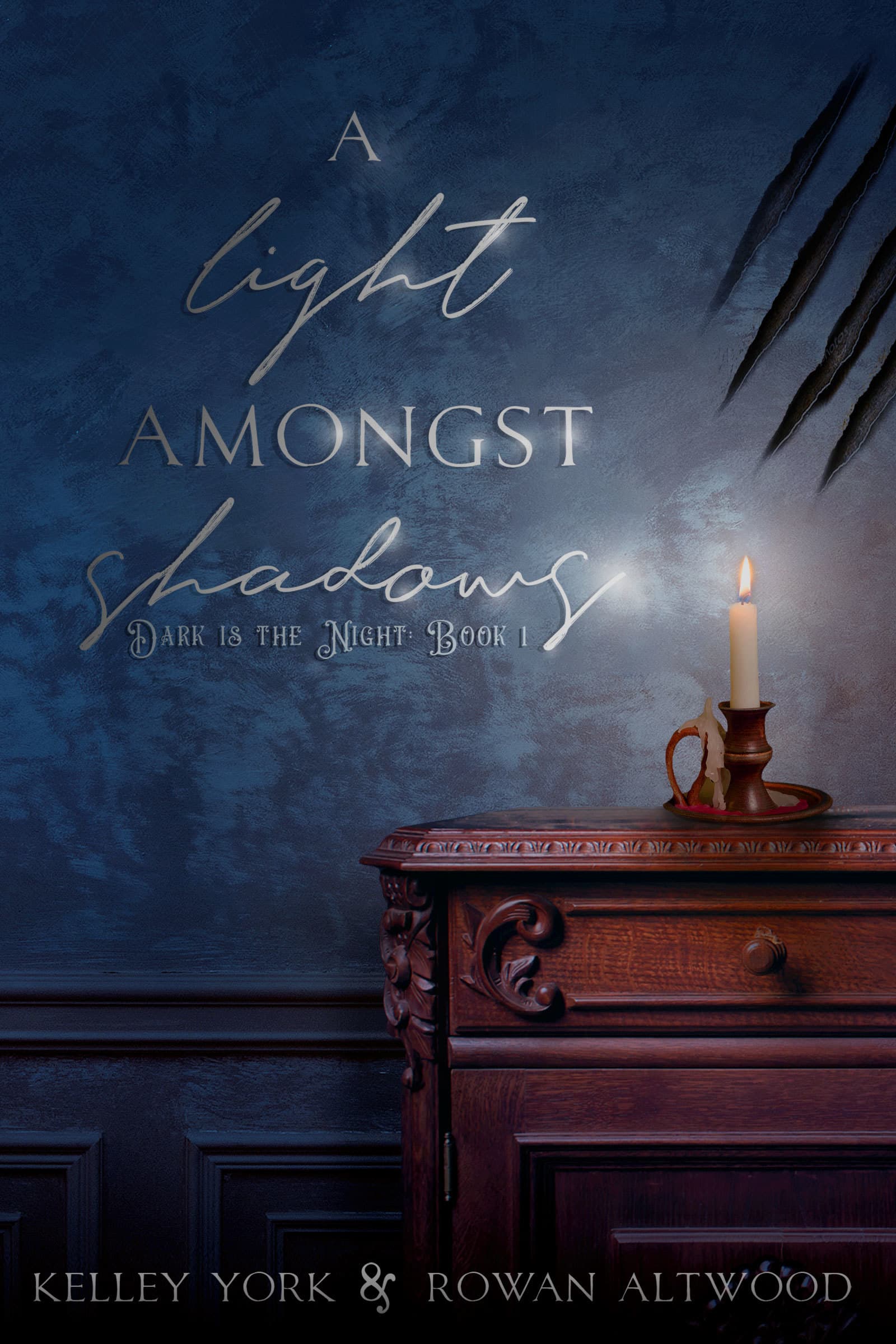 A Light Amongst Shadows book cover