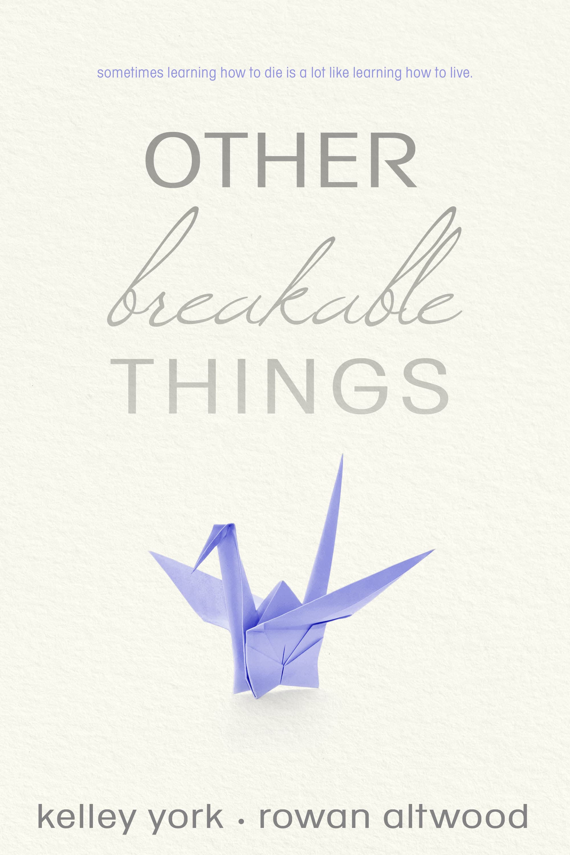 Other Breakable Things book cover